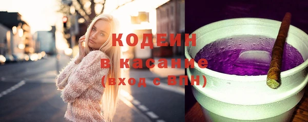 шишки Надым
