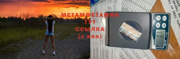 шишки Надым