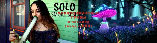шишки Надым