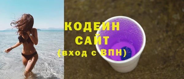 шишки Надым