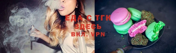 шишки Надым