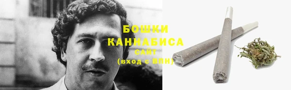 шишки Надым