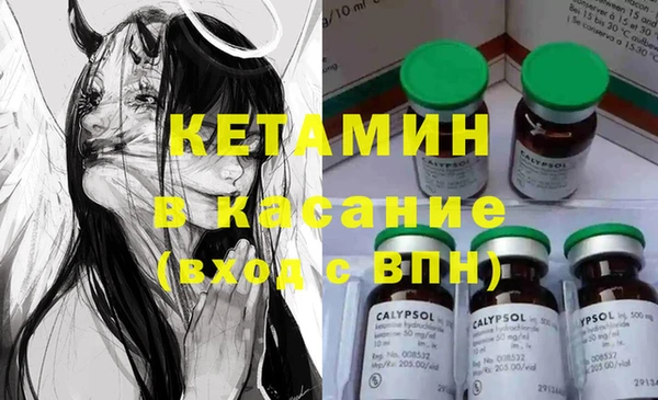 шишки Надым