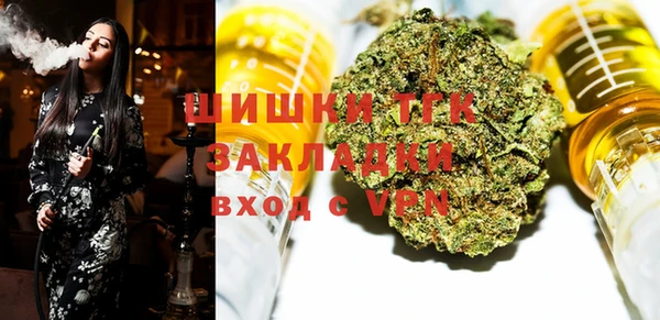 шишки Надым
