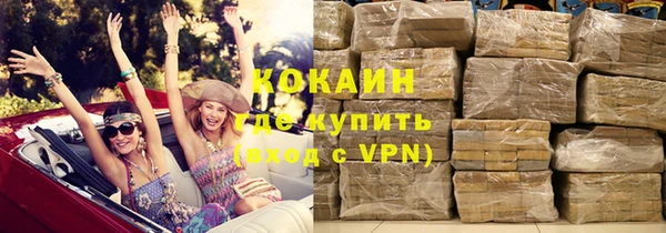 шишки Надым