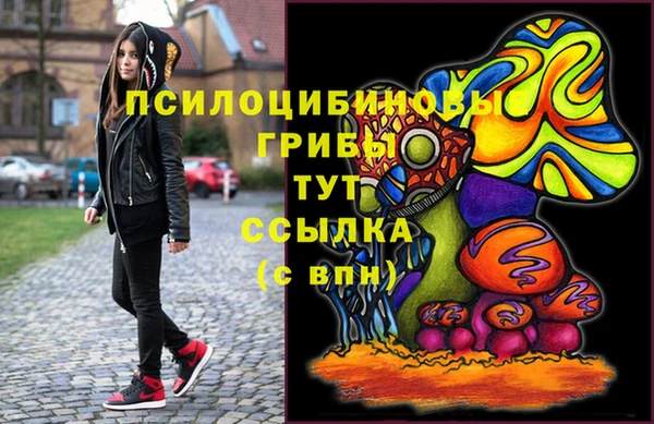 шишки Надым