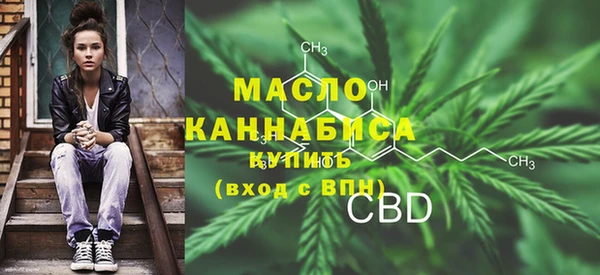 шишки Надым